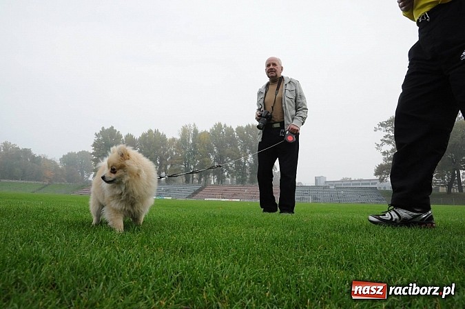 Zdjęcie w galerii na portalu naszraciborz.pl: Og&oacute;lnopolski Test Coopera już w sobotę wiadomości z regionu