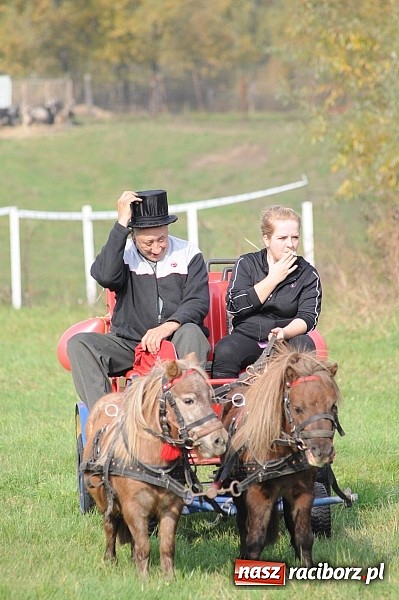 Zdjęcie w galerii na portalu naszraciborz.pl: Na Ostrogu odbył się dziś Hubertus. Lisa złapał Rafał Wochnik wiadomości z regionu