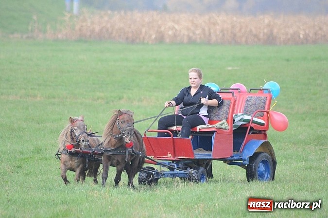 Zdjęcie w galerii na portalu naszraciborz.pl: Na Ostrogu odbył się dziś Hubertus. Lisa złapał Rafał Wochnik wiadomości z regionu