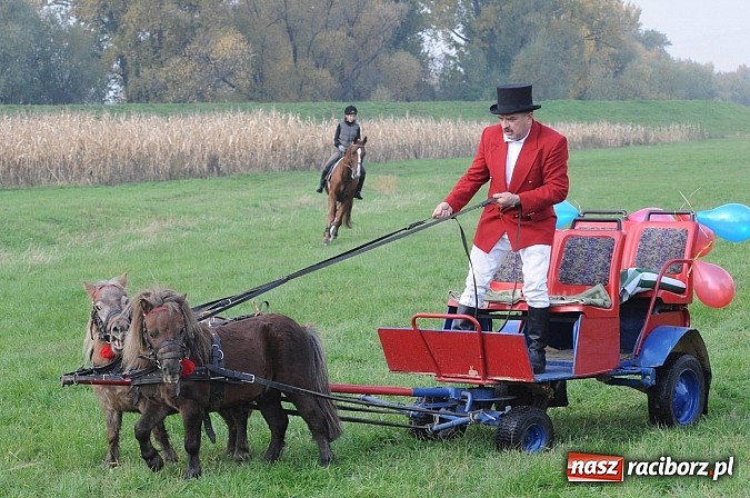 Zdjęcie w galerii na portalu naszraciborz.pl: Na Ostrogu odbył się dziś Hubertus. Lisa złapał Rafał Wochnik wiadomości z regionu