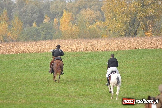 Zdjęcie w galerii na portalu naszraciborz.pl: Na Ostrogu odbył się dziś Hubertus. Lisa złapał Rafał Wochnik wiadomości z regionu