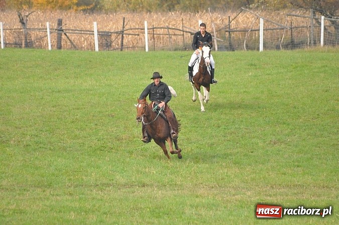 Zdjęcie w galerii na portalu naszraciborz.pl: Na Ostrogu odbył się dziś Hubertus. Lisa złapał Rafał Wochnik wiadomości z regionu
