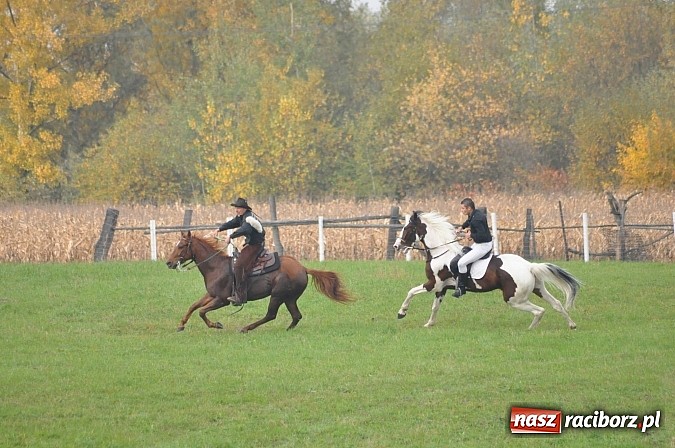 Zdjęcie w galerii na portalu naszraciborz.pl: Na Ostrogu odbył się dziś Hubertus. Lisa złapał Rafał Wochnik wiadomości z regionu