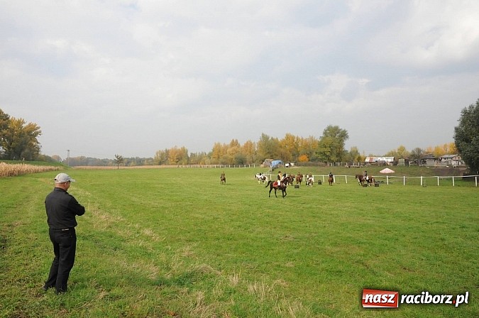 Zdjęcie w galerii na portalu naszraciborz.pl: Na Ostrogu odbył się dziś Hubertus. Lisa złapał Rafał Wochnik wiadomości z regionu
