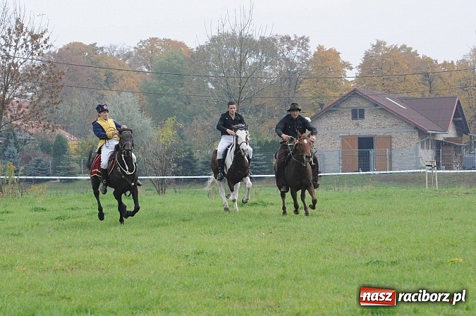 Zdjęcie w galerii na portalu naszraciborz.pl: Na Ostrogu odbył się dziś Hubertus. Lisa złapał Rafał Wochnik wiadomości z regionu