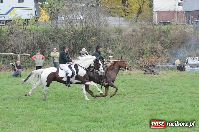 Zdjęcie w galerii na portalu naszraciborz.pl: Na Ostrogu odbył się dziś Hubertus. Lisa złapał Rafał Wochnik wiadomości z regionu