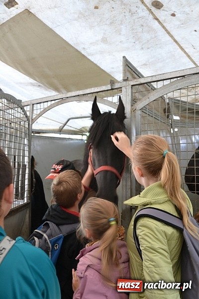 Zdjęcie w galerii na portalu naszraciborz.pl: Hobby spełnia marzenia - wycieczka do Szymocic wiadomości z regionu