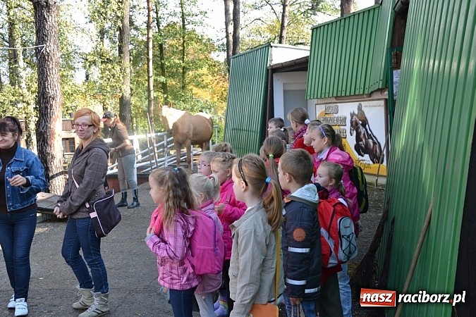 Zdjęcie w galerii na portalu naszraciborz.pl: Hobby spełnia marzenia - wycieczka do Szymocic wiadomości z regionu