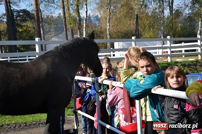 Zdjęcie w galerii na portalu naszraciborz.pl: Hobby spełnia marzenia - wycieczka do Szymocic wiadomości z regionu