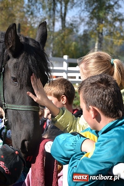 Zdjęcie w galerii na portalu naszraciborz.pl: Hobby spełnia marzenia - wycieczka do Szymocic wiadomości z regionu