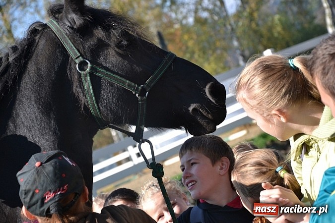 Zdjęcie w galerii na portalu naszraciborz.pl: Hobby spełnia marzenia - wycieczka do Szymocic wiadomości z regionu