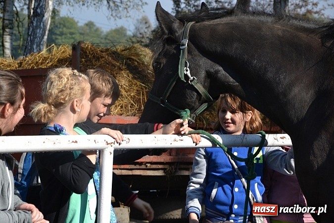 Zdjęcie w galerii na portalu naszraciborz.pl: Hobby spełnia marzenia - wycieczka do Szymocic wiadomości z regionu