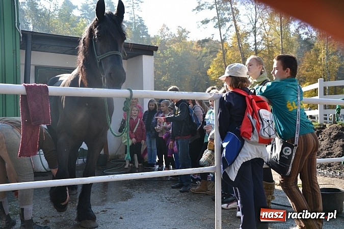 Zdjęcie w galerii na portalu naszraciborz.pl: Hobby spełnia marzenia - wycieczka do Szymocic wiadomości z regionu