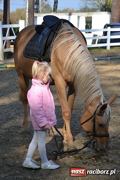 Zdjęcie w galerii na portalu naszraciborz.pl: Hobby spełnia marzenia - wycieczka do Szymocic wiadomości z regionu
