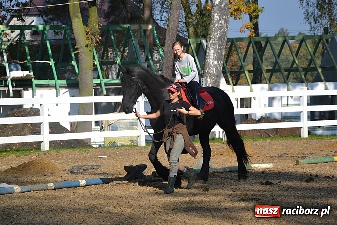 Zdjęcie w galerii na portalu naszraciborz.pl: Hobby spełnia marzenia - wycieczka do Szymocic wiadomości z regionu