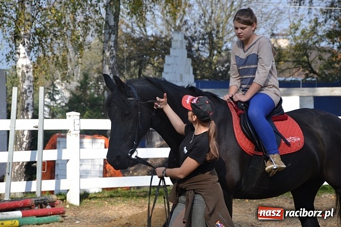 Zdjęcie w galerii na portalu naszraciborz.pl: Hobby spełnia marzenia - wycieczka do Szymocic wiadomości z regionu