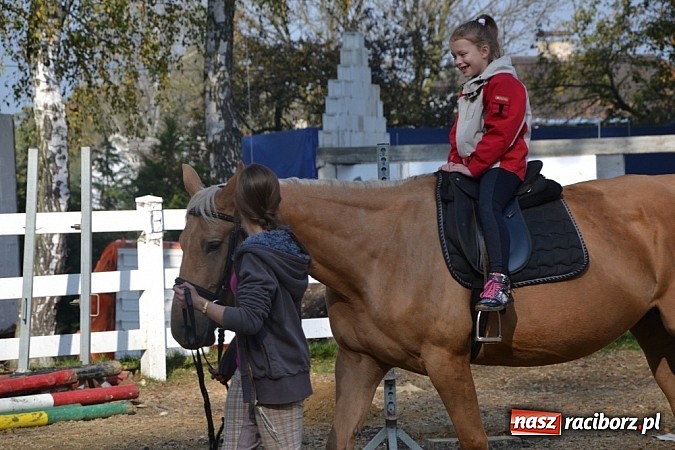 Zdjęcie w galerii na portalu naszraciborz.pl: Hobby spełnia marzenia - wycieczka do Szymocic wiadomości z regionu