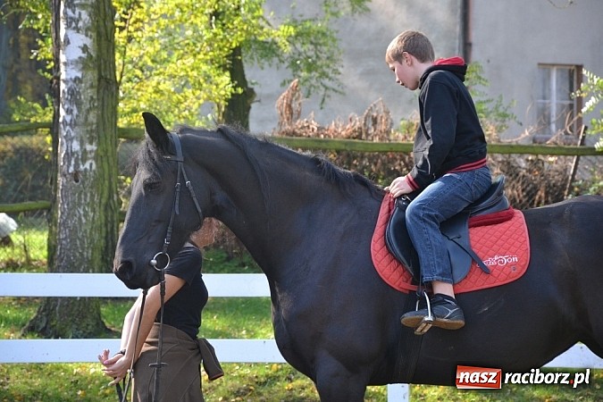 Zdjęcie w galerii na portalu naszraciborz.pl: Hobby spełnia marzenia - wycieczka do Szymocic wiadomości z regionu