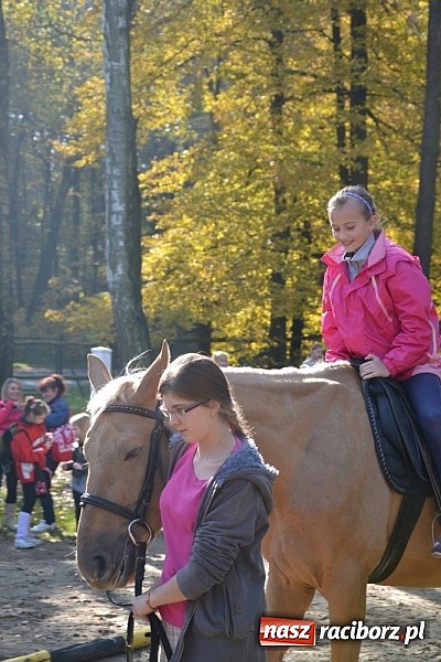 Zdjęcie w galerii na portalu naszraciborz.pl: Hobby spełnia marzenia - wycieczka do Szymocic wiadomości z regionu