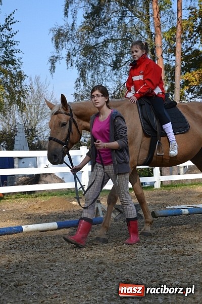 Zdjęcie w galerii na portalu naszraciborz.pl: Hobby spełnia marzenia - wycieczka do Szymocic wiadomości z regionu