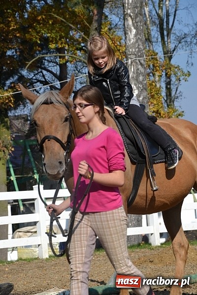 Zdjęcie w galerii na portalu naszraciborz.pl: Hobby spełnia marzenia - wycieczka do Szymocic wiadomości z regionu