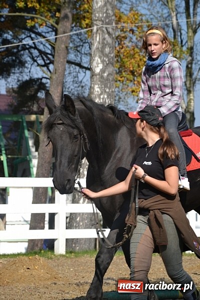 Zdjęcie w galerii na portalu naszraciborz.pl: Hobby spełnia marzenia - wycieczka do Szymocic wiadomości z regionu
