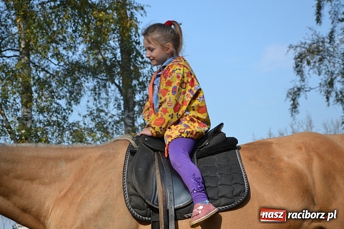 Zdjęcie w galerii na portalu naszraciborz.pl: Hobby spełnia marzenia - wycieczka do Szymocic wiadomości z regionu