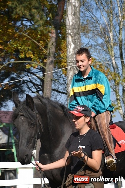 Zdjęcie w galerii na portalu naszraciborz.pl: Hobby spełnia marzenia - wycieczka do Szymocic wiadomości z regionu
