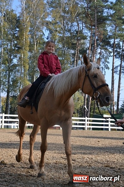 Zdjęcie w galerii na portalu naszraciborz.pl: Hobby spełnia marzenia - wycieczka do Szymocic wiadomości z regionu
