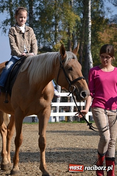 Zdjęcie w galerii na portalu naszraciborz.pl: Hobby spełnia marzenia - wycieczka do Szymocic wiadomości z regionu