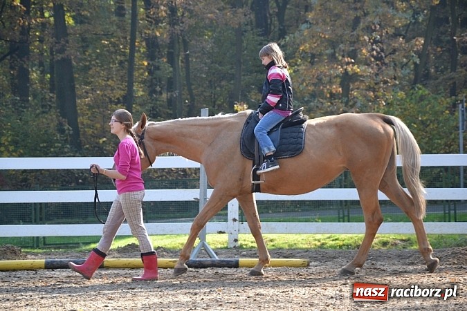 Zdjęcie w galerii na portalu naszraciborz.pl: Hobby spełnia marzenia - wycieczka do Szymocic wiadomości z regionu