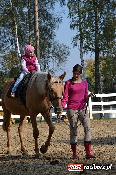 Zdjęcie w galerii na portalu naszraciborz.pl: Hobby spełnia marzenia - wycieczka do Szymocic wiadomości z regionu