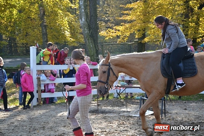 Zdjęcie w galerii na portalu naszraciborz.pl: Hobby spełnia marzenia - wycieczka do Szymocic wiadomości z regionu