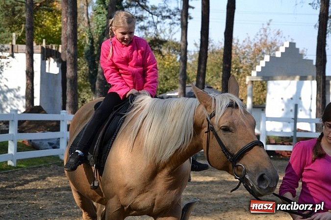 Zdjęcie w galerii na portalu naszraciborz.pl: Hobby spełnia marzenia - wycieczka do Szymocic wiadomości z regionu