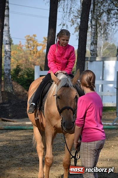 Zdjęcie w galerii na portalu naszraciborz.pl: Hobby spełnia marzenia - wycieczka do Szymocic wiadomości z regionu