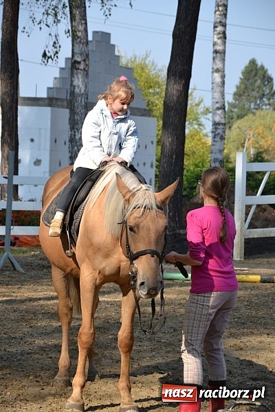 Zdjęcie w galerii na portalu naszraciborz.pl: Hobby spełnia marzenia - wycieczka do Szymocic wiadomości z regionu