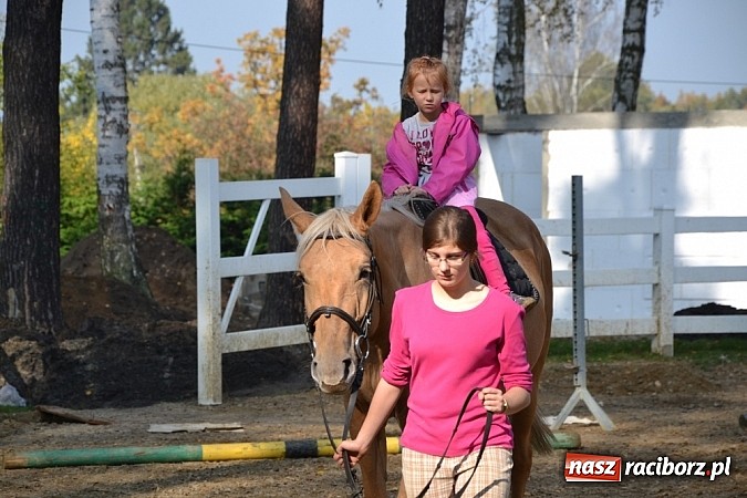 Zdjęcie w galerii na portalu naszraciborz.pl: Hobby spełnia marzenia - wycieczka do Szymocic wiadomości z regionu