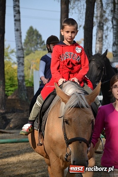Zdjęcie w galerii na portalu naszraciborz.pl: Hobby spełnia marzenia - wycieczka do Szymocic wiadomości z regionu