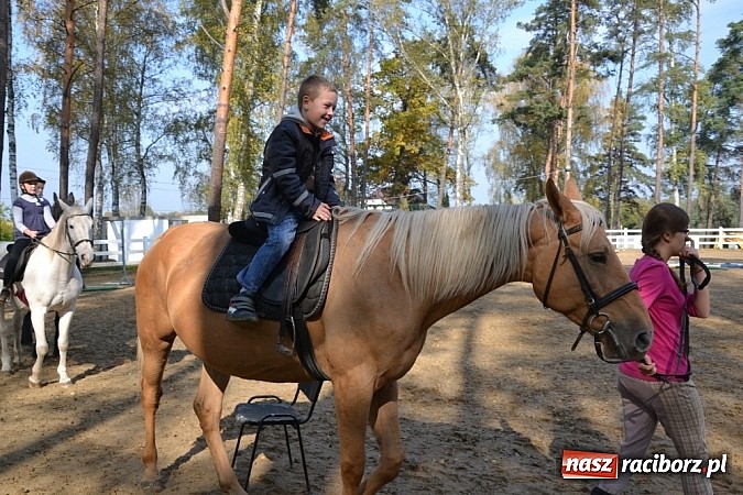 Zdjęcie w galerii na portalu naszraciborz.pl: Hobby spełnia marzenia - wycieczka do Szymocic wiadomości z regionu
