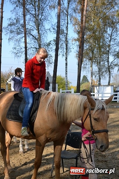 Zdjęcie w galerii na portalu naszraciborz.pl: Hobby spełnia marzenia - wycieczka do Szymocic wiadomości z regionu