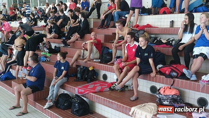 Zdjęcie w galerii na portalu naszraciborz.pl: Udany start raciborskich pływaków w Nowym Jiczynie wiadomości z regionu