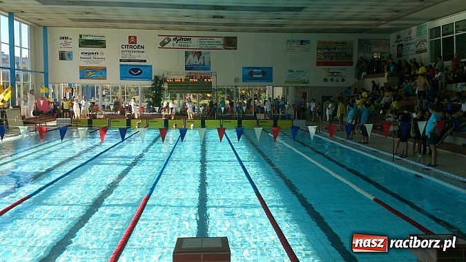 Zdjęcie w galerii na portalu naszraciborz.pl: Udany start raciborskich pływaków w Nowym Jiczynie wiadomości z regionu