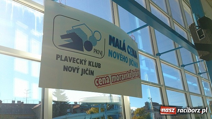 Zdjęcie w galerii na portalu naszraciborz.pl: Udany start raciborskich pływaków w Nowym Jiczynie wiadomości z regionu
