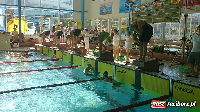 Zdjęcie w galerii na portalu naszraciborz.pl: Udany start raciborskich pływaków w Nowym Jiczynie wiadomości z regionu