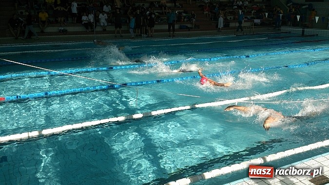 Zdjęcie w galerii na portalu naszraciborz.pl: Udany start raciborskich pływaków w Nowym Jiczynie wiadomości z regionu