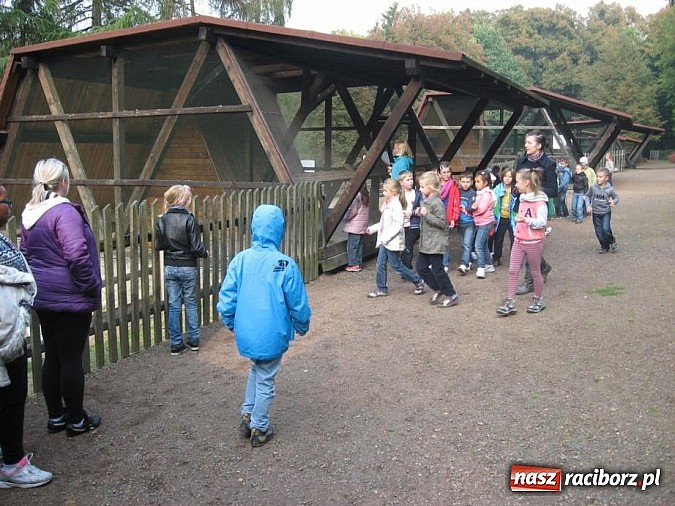Zdjęcie w galerii na portalu naszraciborz.pl: Eduscience promuje nasz powiat wiadomości z regionu