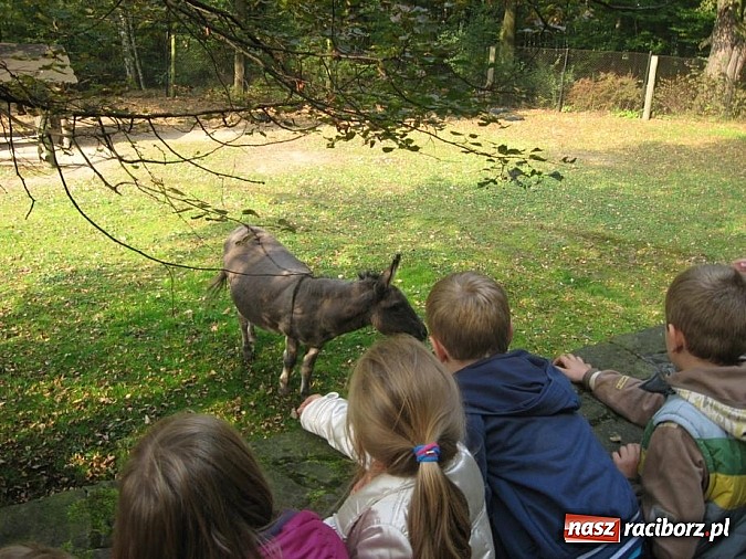 Zdjęcie w galerii na portalu naszraciborz.pl: Eduscience promuje nasz powiat wiadomości z regionu