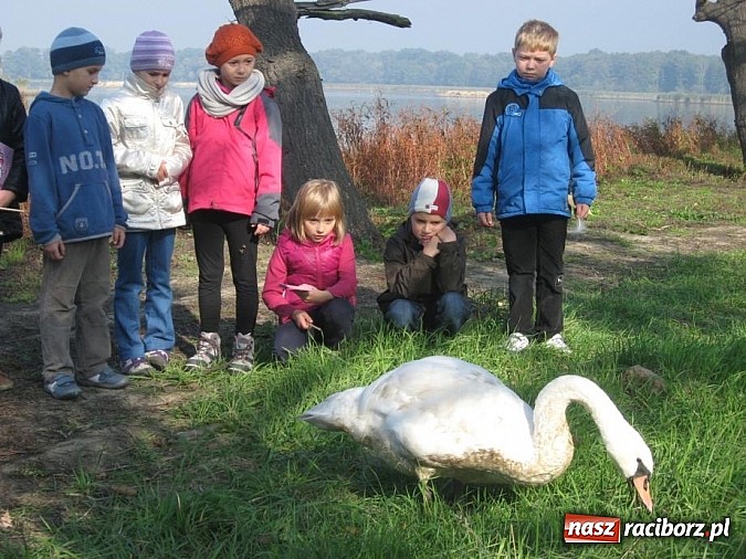 Zdjęcie w galerii na portalu naszraciborz.pl: Eduscience promuje nasz powiat wiadomości z regionu
