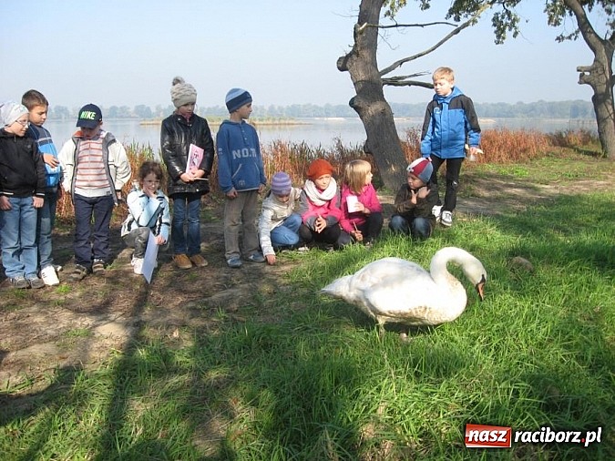 Zdjęcie w galerii na portalu naszraciborz.pl: Eduscience promuje nasz powiat wiadomości z regionu