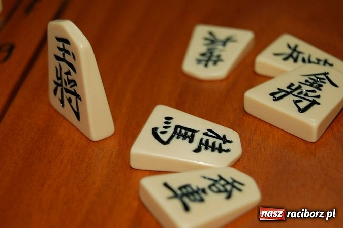 Zdjęcie w galerii na portalu naszraciborz.pl: Budo Gala 2013: samoobrona dla pań i nie tylko wiadomości z regionu